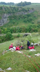 chee dale sheep rescue May 2014